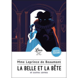Flammarion La Belle et la Bête et autres contes livre Littérature Français