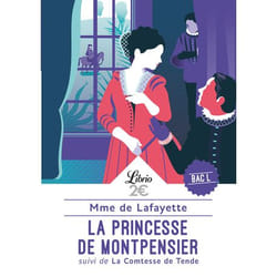 Flammarion La Princesse de Montpensier livre Littérature Français