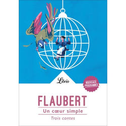 Flammarion Un cœur simple livre Littérature Français