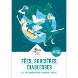 Flammarion Fées, sorcières, diablesses livre Littérature Français