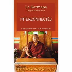 ISBN Interconnectés, Sa Sainteté le Karmapa (XVIIe) [Orgyèn Trinley Dorjé], Aventure, Anglais, 320 pages