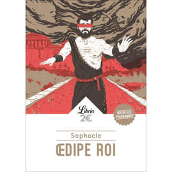 Flammarion Œdipe-roi livre fiction litéraire Français