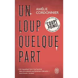 ISBN Un loup quelque part, Amélie Cordonnier, Français, 320 pages