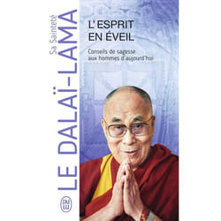 L'esprit en éveil - Conseils de sagesse aux hommes d'aujourd'hui (Broché)