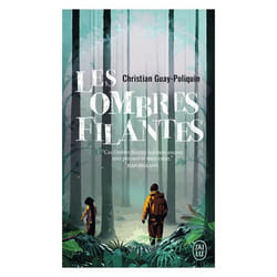 Les ombres filantes (Poche)