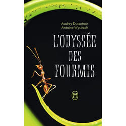 L'odyssée des fourmis (Poche)