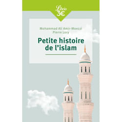 Petite histoire de l'islam (Poche)