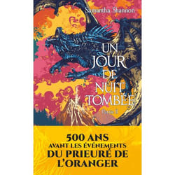 Un jour de nuit tombée