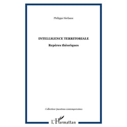 Intelligence territoriale