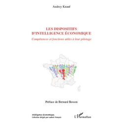 Les dispositifs d'intelligence économique - Compétences et fonctions utiles à leur pilotage (Broché)