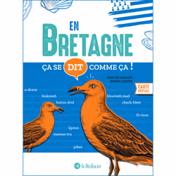 ISBN Ça se dit comme ça en Bretagne : Le livre de Jean Lecoulant, Ronan Calvez, Science & nature, 144 pages