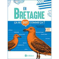 ISBN Ça se dit comme ça en Bretagne : Le livre de Jean Lecoulant, Ronan Calvez