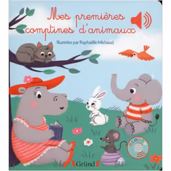 ISBN 9782324010798, Raphaëlle Michaud, Français, 22/01/2015