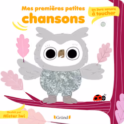 ISBN Mes premières petites chansons : un livre sonore à toucher : Le livre de Mr. Iwi, 10 pages