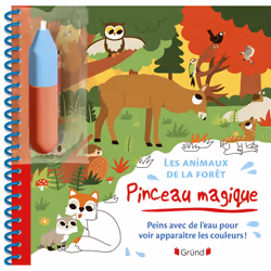 ISBN Pinceau magique - Les animaux de la forêt : Le livre de Monsieur Dupont, 14 pages
