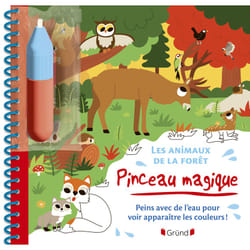 ISBN Pinceau magique - Les animaux de la forêt : Le livre de Monsieur Dupont