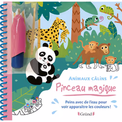 ISBN Pinceau magique - Animaux câlins : Le livre de Vanessa Robidou, 14 pages
