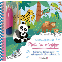 ISBN Pinceau magique - Animaux câlins : Le livre de Vanessa Robidou