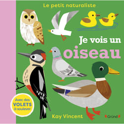 ISBN Je vois un oiseau : Le livre de Kay Vincent