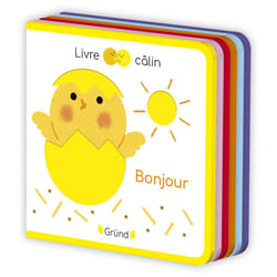 ISBN Livre câlin mini feutrine - Bonjour : Le livre de Sophie Bouxom