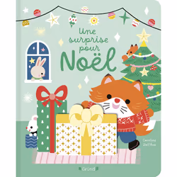 ISBN Une surprise pour Noël : Le livre de Caroline Dall&#039;Ava, 14 pages