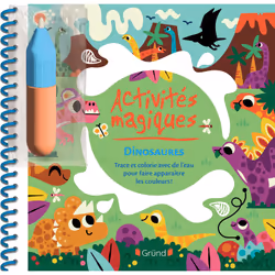 ISBN Mes activités magiques - Dinosaures : Le livre de Pintachan, 14 pages