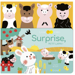 ISBN Surprise, petit lapin ! : Le livre de Sophie Bouxom