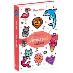 ISBN Agenda pixels à colorier 2025-2026 : Le livre de Eugénie Varone