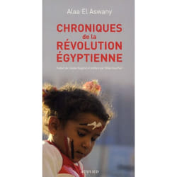 Chroniques de la révolution égyptienne
