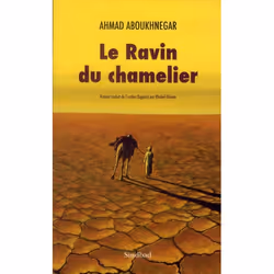 ISBN Le Ravin Du Chamelier, Littérature, Français, Livre broché