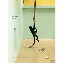 ISBN Eric Pillot In situ - Prix HSBC pour la photographie 2012, Français, 104 pages