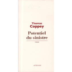 Potentiel du sinistre
