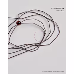 ISBN Delphine Burtin - Prix HSBC pour la photographie 2014, Français, 100 pages