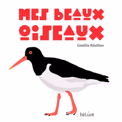 ISBN Mes beaux oiseaux, Français, 54 pages