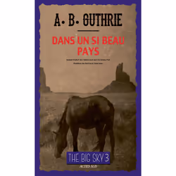 ISBN Dans un si beau pays, Français, 288 pages