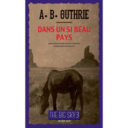 ISBN Dans un si beau pays