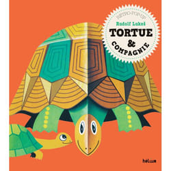 ISBN Tortue & Compagnie