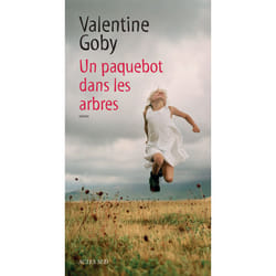 Actes Sud UN PAQUEBOT DANS LES ARBRES