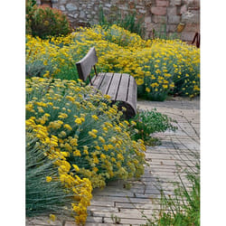 ISBN Le Jardin des migrations