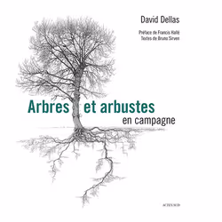 ISBN Arbres et arbustes en campagne, Français, 176 pages