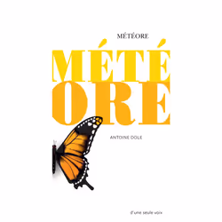 ISBN Météore, Français, 80 pages