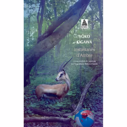 ISBN Instantanés d'Ambre, Français, 304 pages