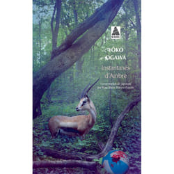 ISBN Instantanés d'Ambre