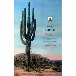 ISBN Mi amigo, Français, 287 pages