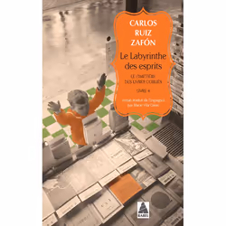 ISBN Le Labyrinthe des esprits, Français, 1008 pages