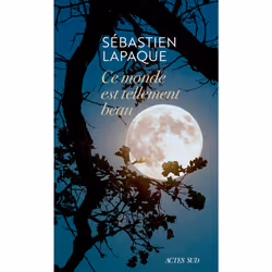 ISBN Ce monde est tellement beau, Français, 336 pages
