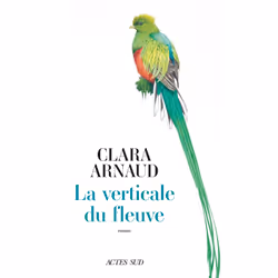 ISBN La Verticale du fleuve, Français, 384 pages