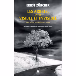 ISBN Les Arbres, entre visible et invisible, Français, 352 pages