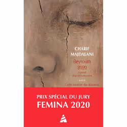 ISBN Beyrouth 2020. Journal d'un effondrement, Français, 208 pages