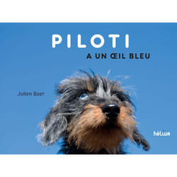 ISBN Piloti a un oeil bleu